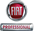 Fiat Professional